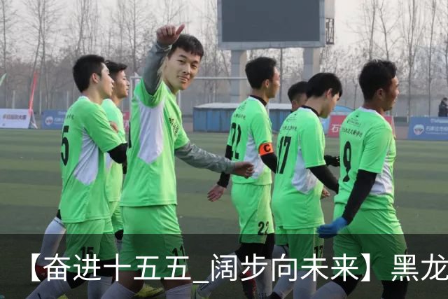 【奋进十五五 阔步向未来】黑龙江农机产业正加速迈向高端化智能化绿色化