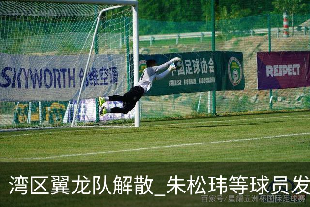 湾区翼龙队解散 朱松玮等球员发布声明维权